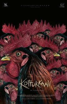 Kottukkaali